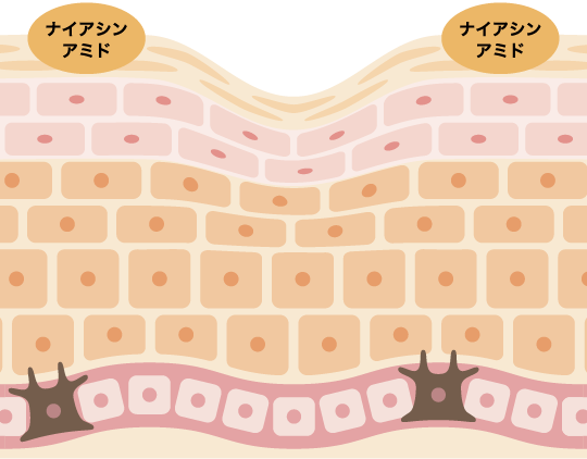 シワ改善